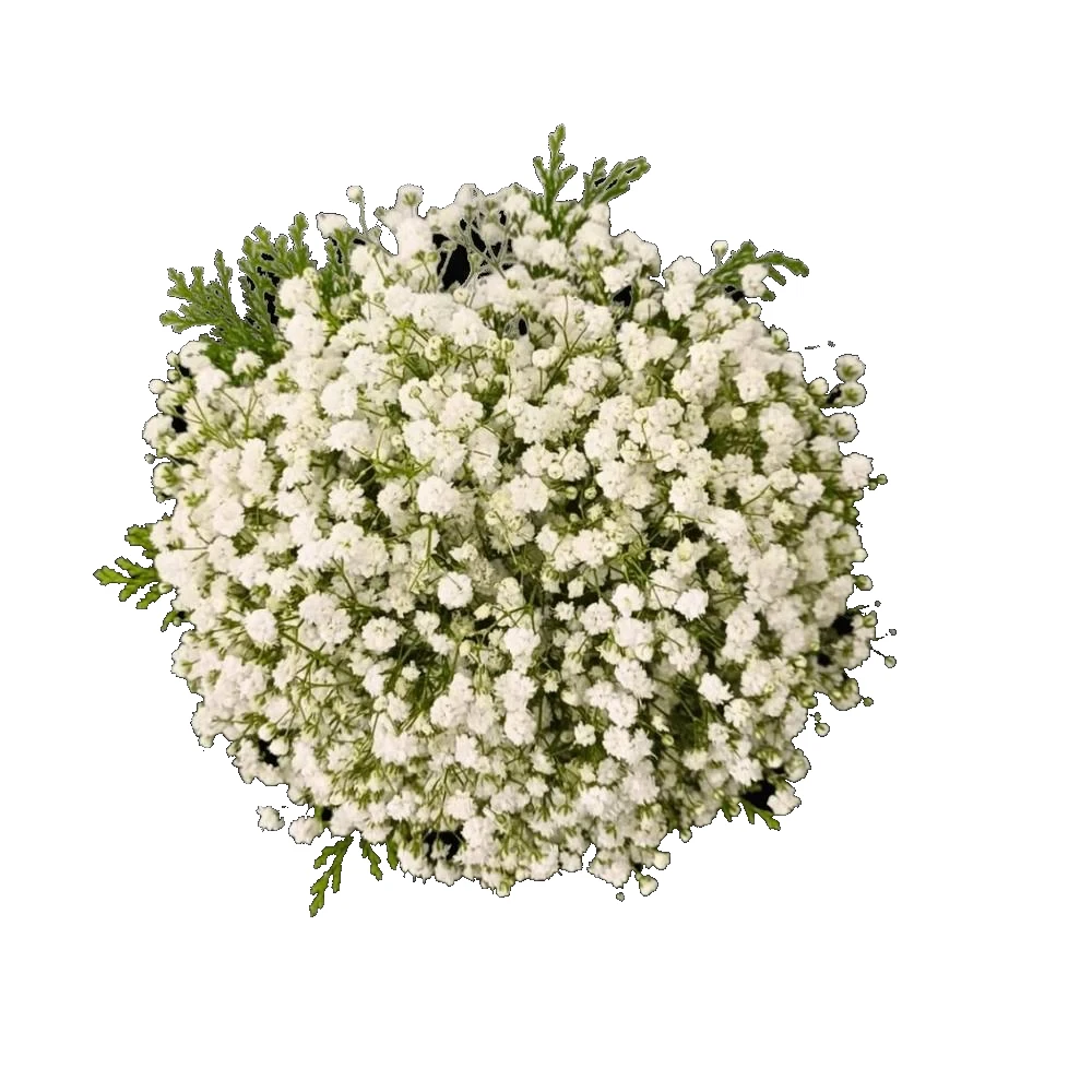 Bouquet de Noiva Gipsophila