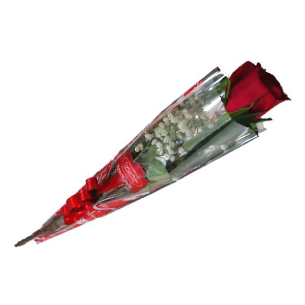 01 Rosa Para Presente