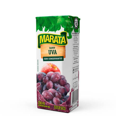 Suco de Frutas (200 ml)