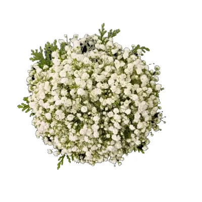 Bouquet de Noiva Gipsophila