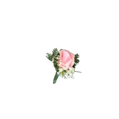 Lapela de Rosa